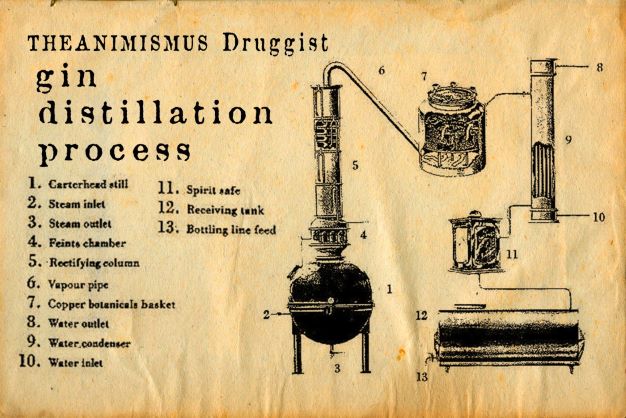 Gin: processo di distillazione