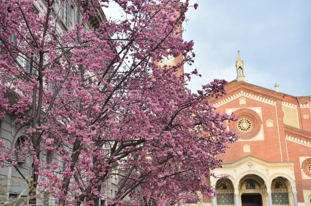 Basiliche di Milano: 2 basiliche in pochi passi