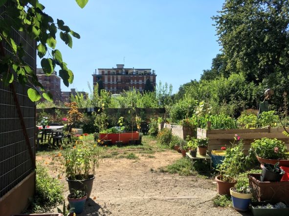 Cascina Martesana: l'orto