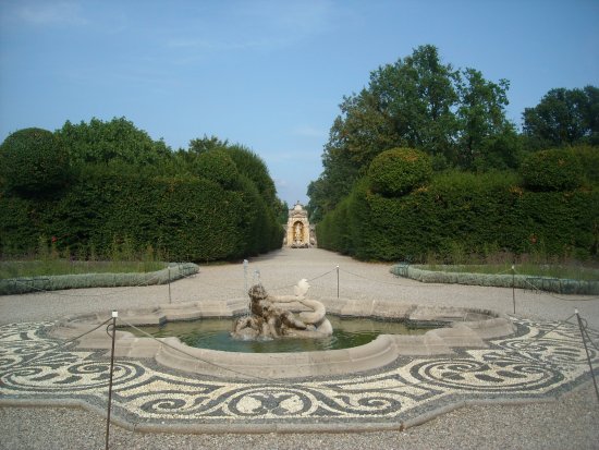 fontana del delfino